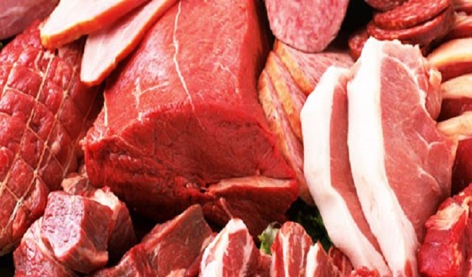 Produção de carne bovina deve crescer 5% no Brasil Produção de carne bovina deve crescer 5% no Brasil